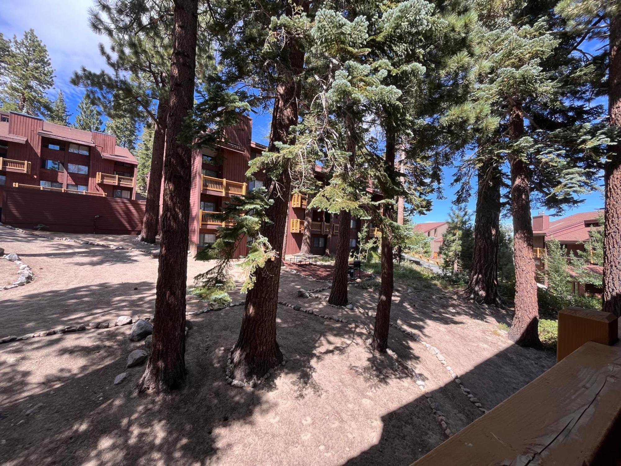 Tastefully Remodeled Condo At Mammoth Ski & Racquet Club, Hot Tub, Garage, 10 Min Walk To Ski Lifts Μαμούθ Λέικς Εξωτερικό φωτογραφία